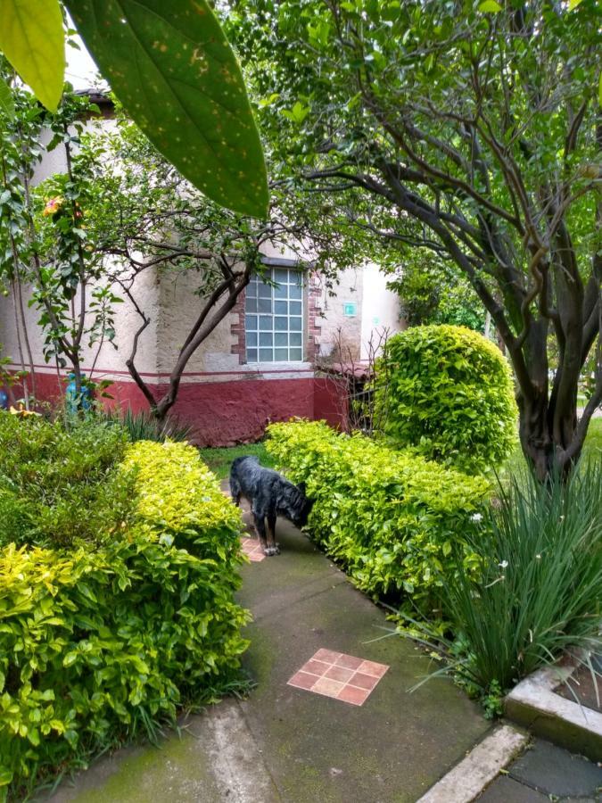 Hotel Casa Pomarrosa Malinalco Ngoại thất bức ảnh
